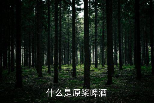 什么是原槳啤酒
