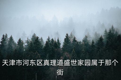 天津市河東區真理道盛世家園屬于那個街