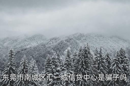 東莞市南城區(qū)匯一城信貸中心是騙子嗎