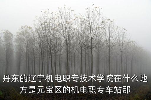 丹東的遼寧機電職專技術學院在什么地方是元寶區的機電職專車站那