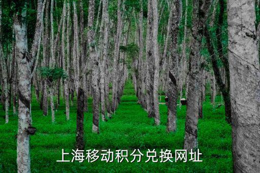 上海移動積分兌換，上海移動積分兌換網址