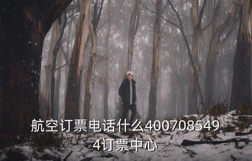 航空訂票電話什么4007085494訂票中心