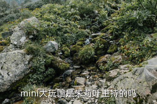 mini大玩國是朱莉葉主持的嗎