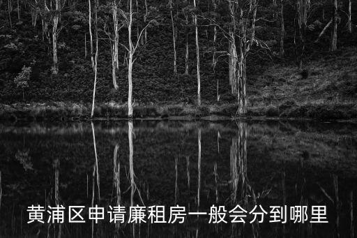 黃浦區申請廉租房一般會分到哪里