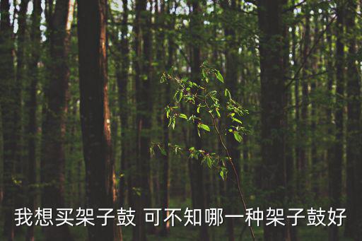 我想買架子鼓 可不知哪一種架子鼓好