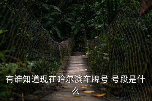 有誰知道現(xiàn)在哈爾濱車牌號 號段是什么