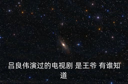 呂良偉演過的電視劇 是王爺 有誰知道