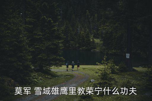 莫軍 雪域雄鷹里教榮寧什么功夫