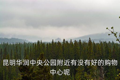 昆明華潤中央公園附近有沒有好的購物中心呢