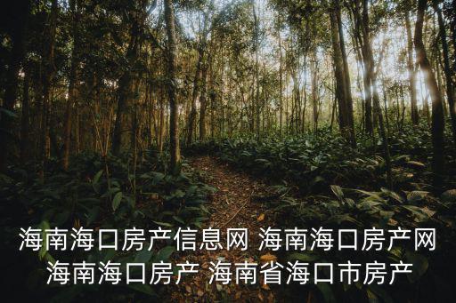 海南房產信息網，海南現在什么房產網站信息比較全面的求推薦