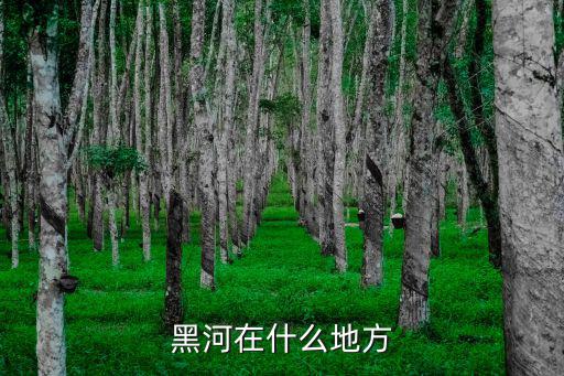 黑河在什么地方