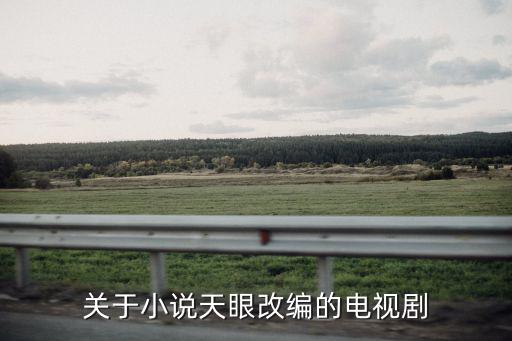 關于小說天眼改編的電視劇