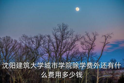 沈陽城市建設學院學費，沈陽城市建設學院怎么樣