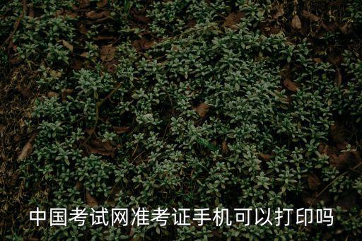 中國考試教育網(wǎng)官網(wǎng)，中國考試網(wǎng)準(zhǔn)考證手機(jī)可以打印嗎