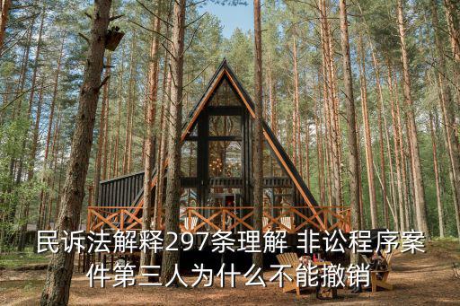 非訴程序，民訴法解釋297條理解 非訟程序案件第三人為什么不能撤銷