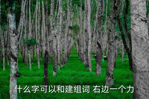 什么字可以和建組詞 右邊一個力