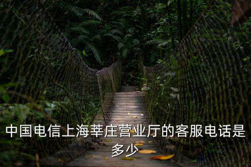 中國電信上海莘莊營業廳的客服電話是多少