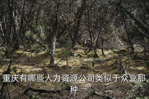 重慶有哪些人力資源公司類(lèi)似于眾業(yè)那種