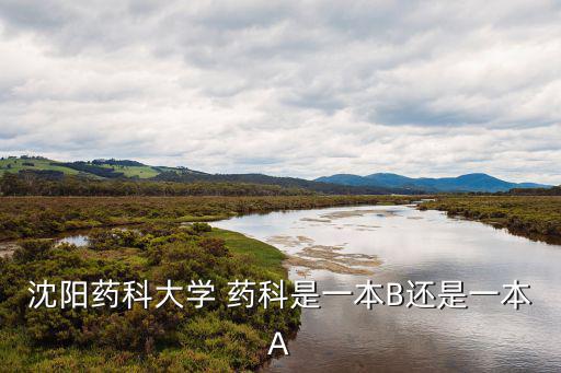 沈陽(yáng)藥科大學(xué)是幾本，沈陽(yáng)藥科大學(xué)是一本還是二本