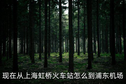 現在從上海虹橋火車站怎么到浦東機場
