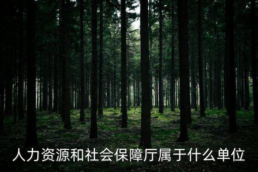 人力資源和社會保障廳屬于什么單位