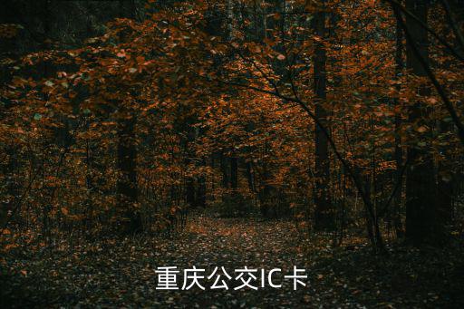 重慶公交卡，重慶公交IC卡