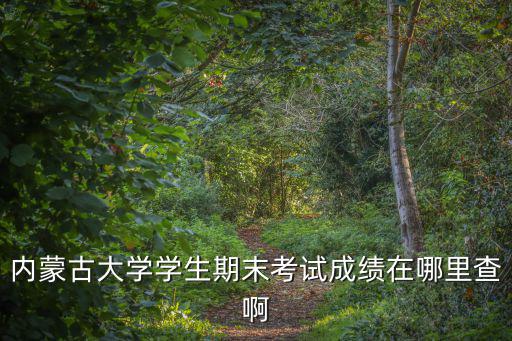 內蒙古大學學生期末考試成績在哪里查啊