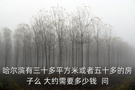 哈爾濱房子，哈爾濱那里的新樓盤不錯 介紹一個