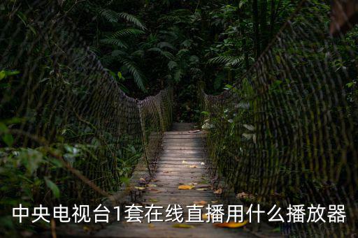 cctv1在線直播觀看中央一套直播，看電視用流量的