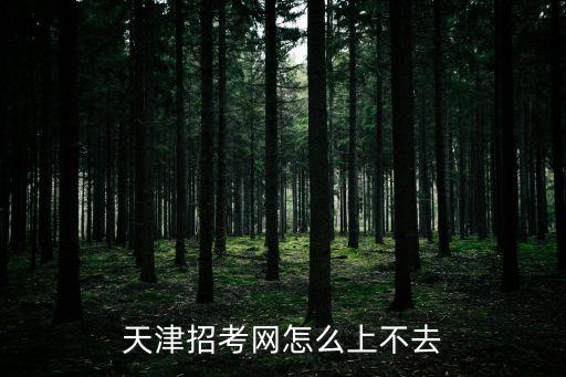 天津招考網怎么上不去