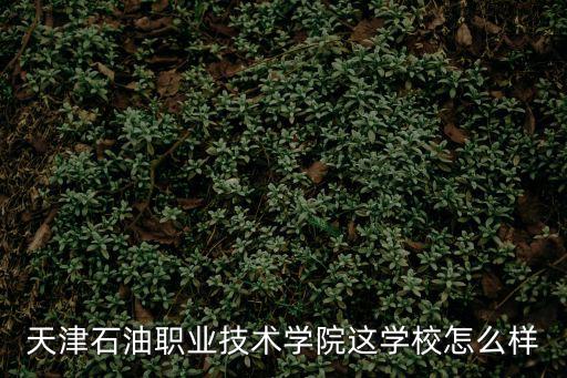 天津石油職業技術學院，天津石油職業技術學院怎么樣