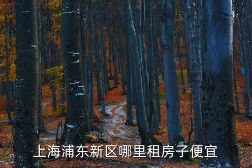 上海浦東新區(qū)哪里租房子便宜