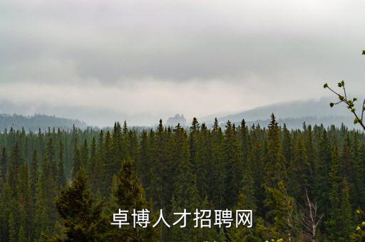 卓博人才招聘網(wǎng)