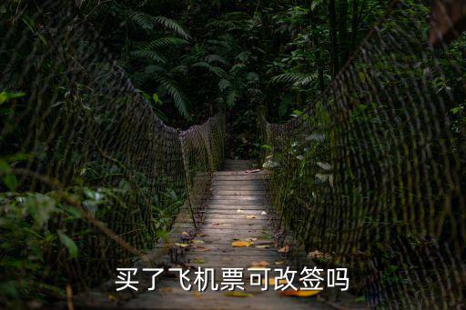 飛機票可以改簽嗎，買了飛機票可改簽嗎