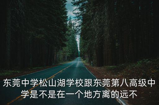 東莞中學松山湖學校跟東莞第八高級中學是不是在一個地方離的遠不