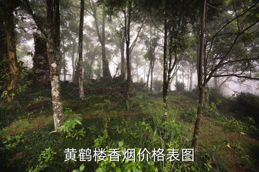 黃鶴樓價格表，黃鶴樓香煙價格表圖