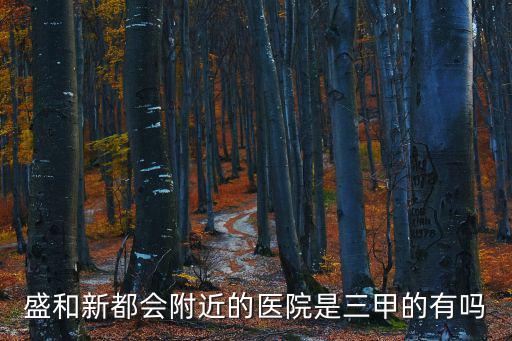 盛和新都會附近的醫院是三甲的有嗎