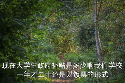 現在大學生政府補貼是多少啊我們學校一年才二十還是以飯票的形式