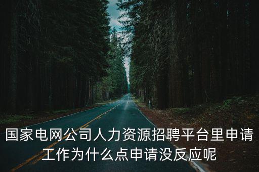 國(guó)家電網(wǎng)公司人力資源招聘平臺(tái)里申請(qǐng)工作為什么點(diǎn)申請(qǐng)沒(méi)反應(yīng)呢
