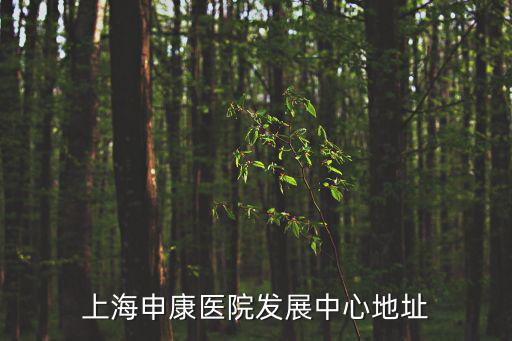 上海申康醫院發展中心地址
