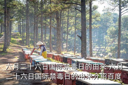 六月二十六日國際禁毒日的由來 六月二十六日國際禁毒日的由來介紹百度