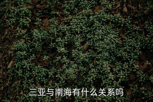 三亞與南海有什么關系嗎