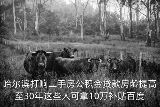 哈爾濱打響二手房公積金貸款房齡提高至30年這些人可拿10萬(wàn)補(bǔ)貼百度