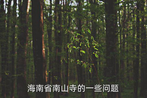 海南省南山寺的一些問題