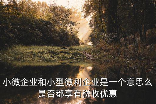 微利企業，小微企業和小型微利企業是一個意思么是否都享有稅收優惠