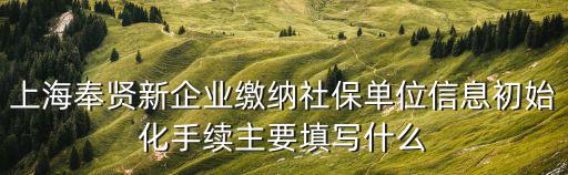 上海奉賢新企業(yè)繳納社保單位信息初始化手續(xù)主要填寫什么