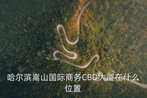 哈爾濱嵩山國際商務CBD大廈在什么位置