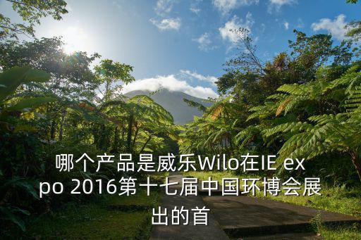 哪個產品是威樂Wilo在IE expo 2016第十七屆中國環博會展出的首