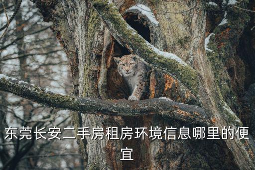 東莞長安二手房租房環(huán)境信息哪里的便宜