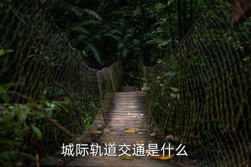 城際軌道，城際軌道交通是什么